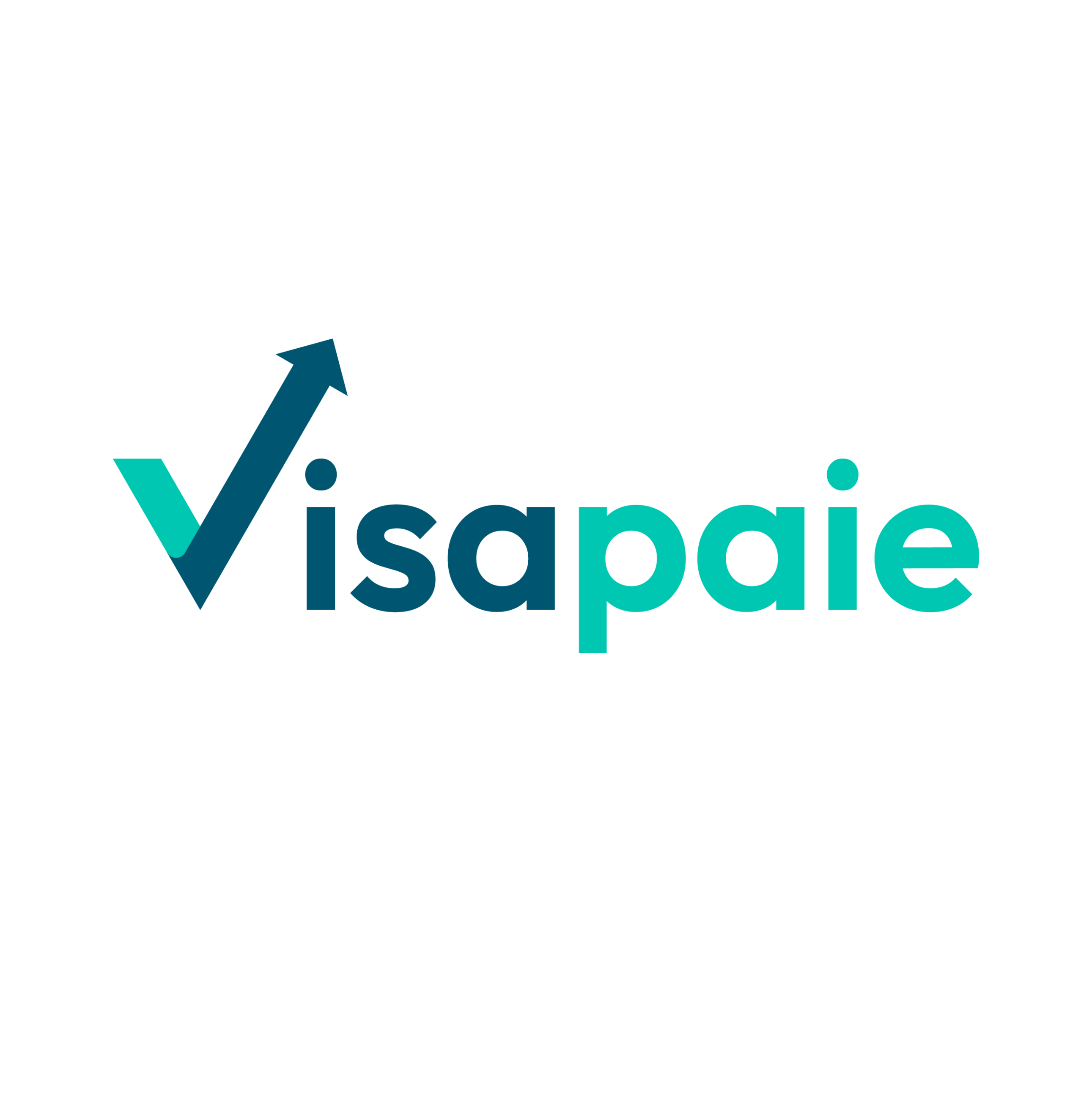 visapaie-logo-2048x744